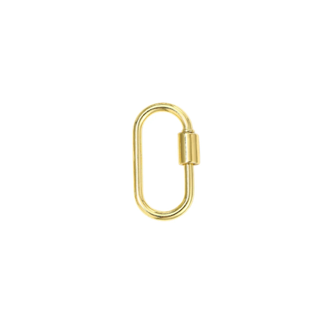 Screw Lock Carabiner Charm Holder