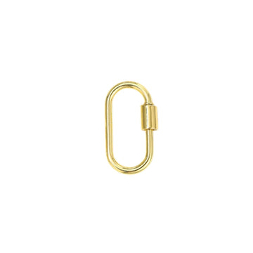 Screw Lock Carabiner Charm Holder