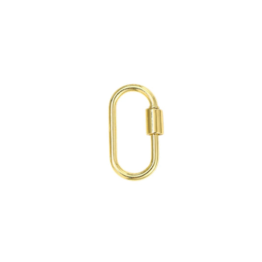 Screw Lock Carabiner Charm Holder
